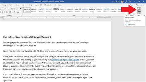 riseb|Dictate your documents in Word